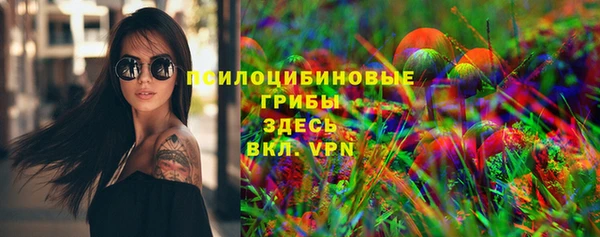 PSILOCYBIN Алзамай