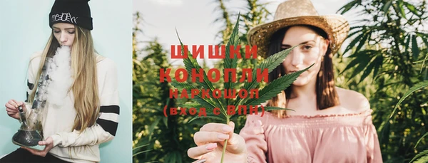 PSILOCYBIN Алзамай